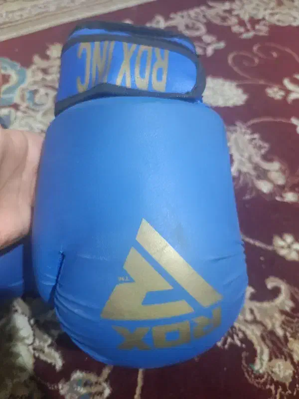 دستکش بوکس|تجهیزات ورزشی|شیراز, دروازه قران|دیوار