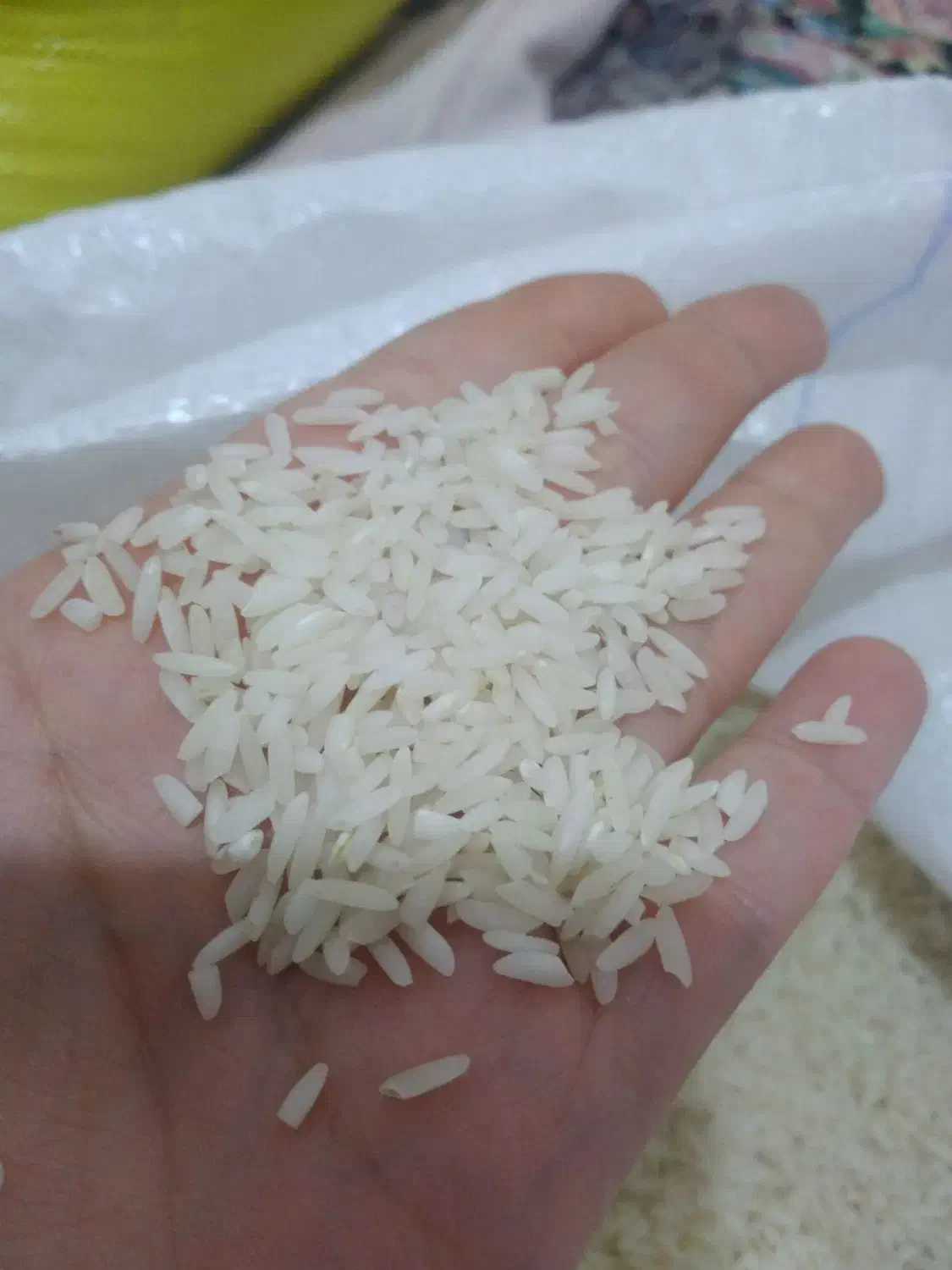 برنج طارم|خوردنی و آشامیدنی|بندر گز, |دیوار