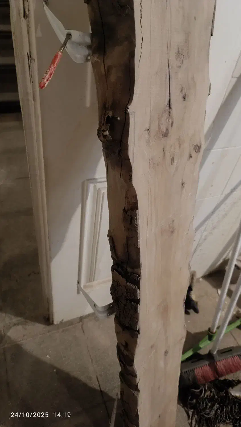 شلف چوب خام|کتابخانه، شلف، قفسه‌های دیواری|مشهد, هنرستان|دیوار