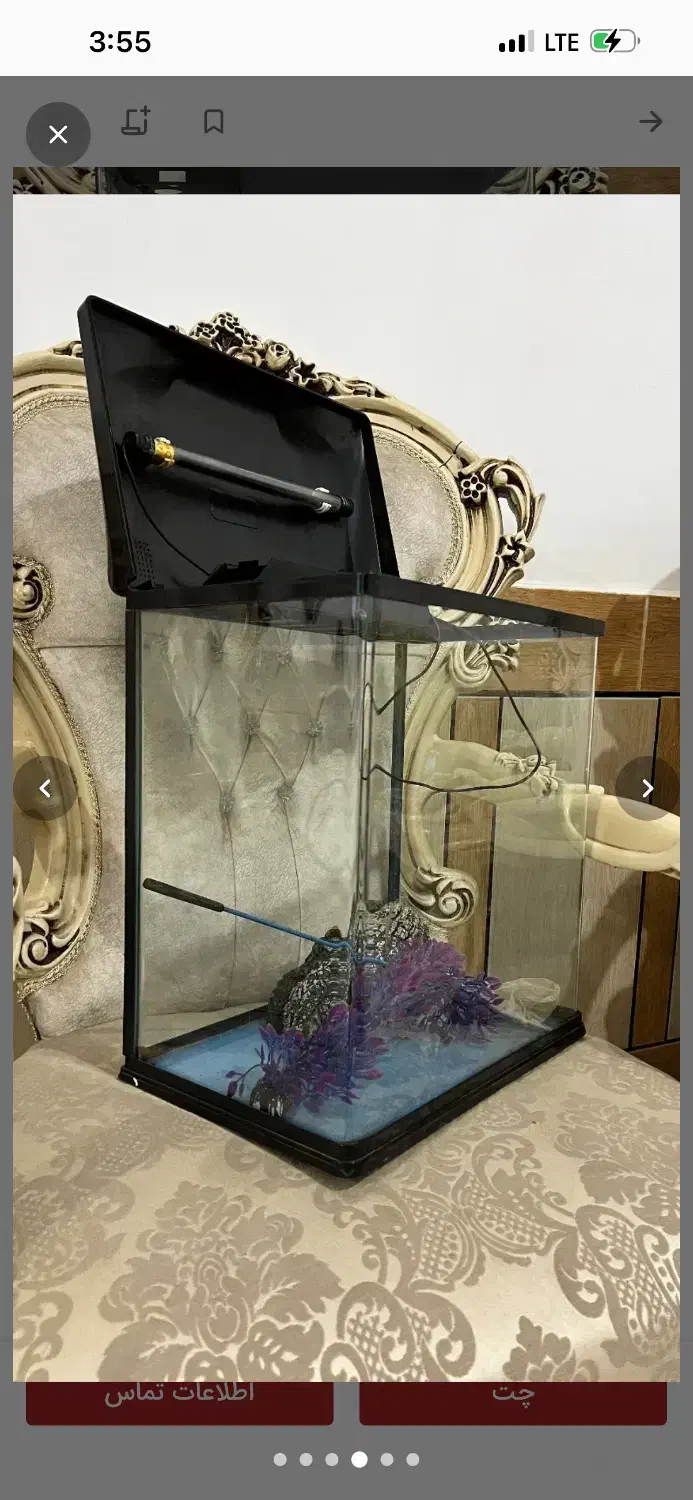 آکواریوم مینیمال|ماهی|اهواز, نادری|دیوار