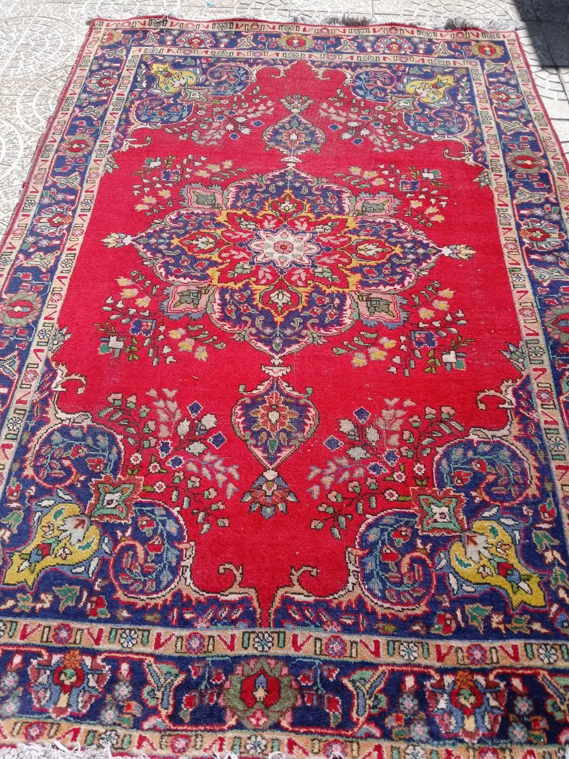 فرش ۶متری|فرش|خوی, |دیوار