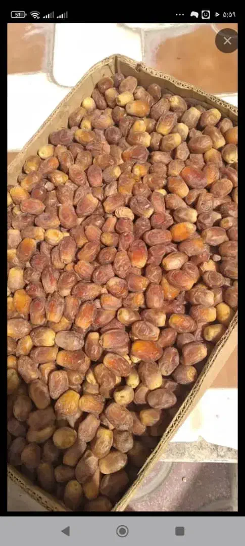 قصب درجه یک|خوردنی و آشامیدنی|شیراز, کاراندیش|دیوار