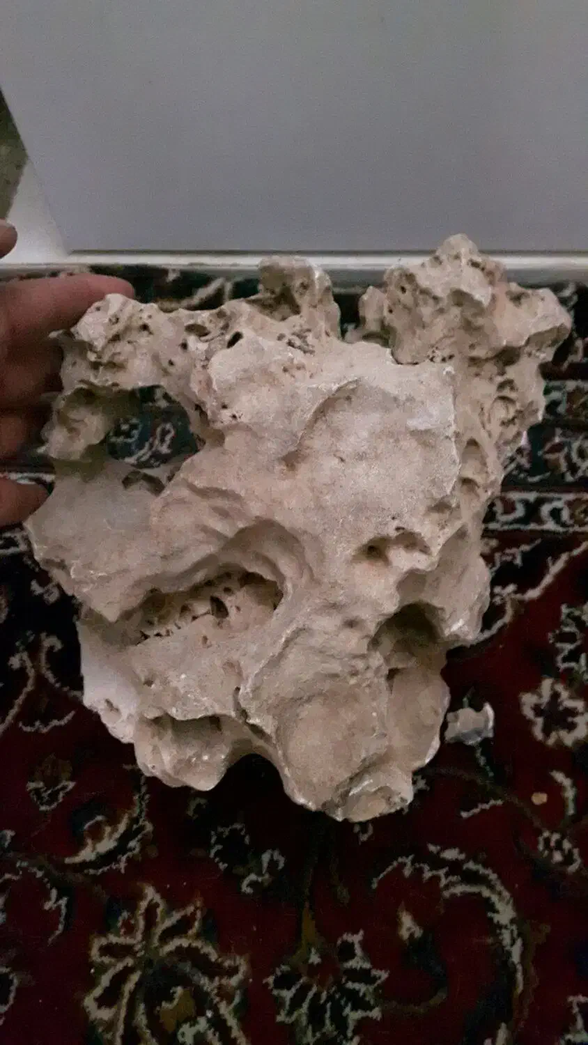 صخره اکواریوم|ماهی|چهاردانگه (تهران), |دیوار