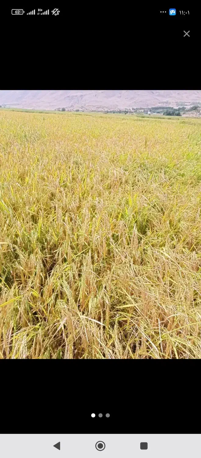 چلتوک|حراج|بروجرد, |دیوار