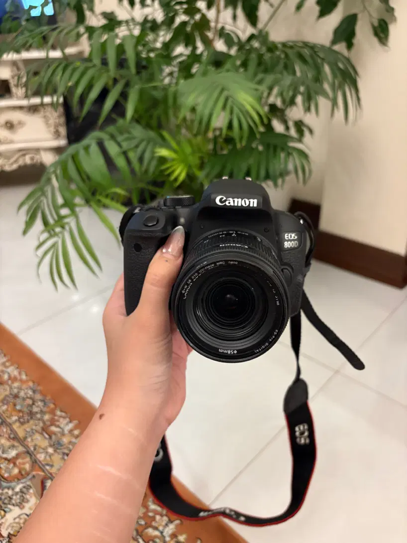 Canon800d /18-55|دوربین عکاسی و فیلمبرداری|تهران, باشگاه نفت|دیوار