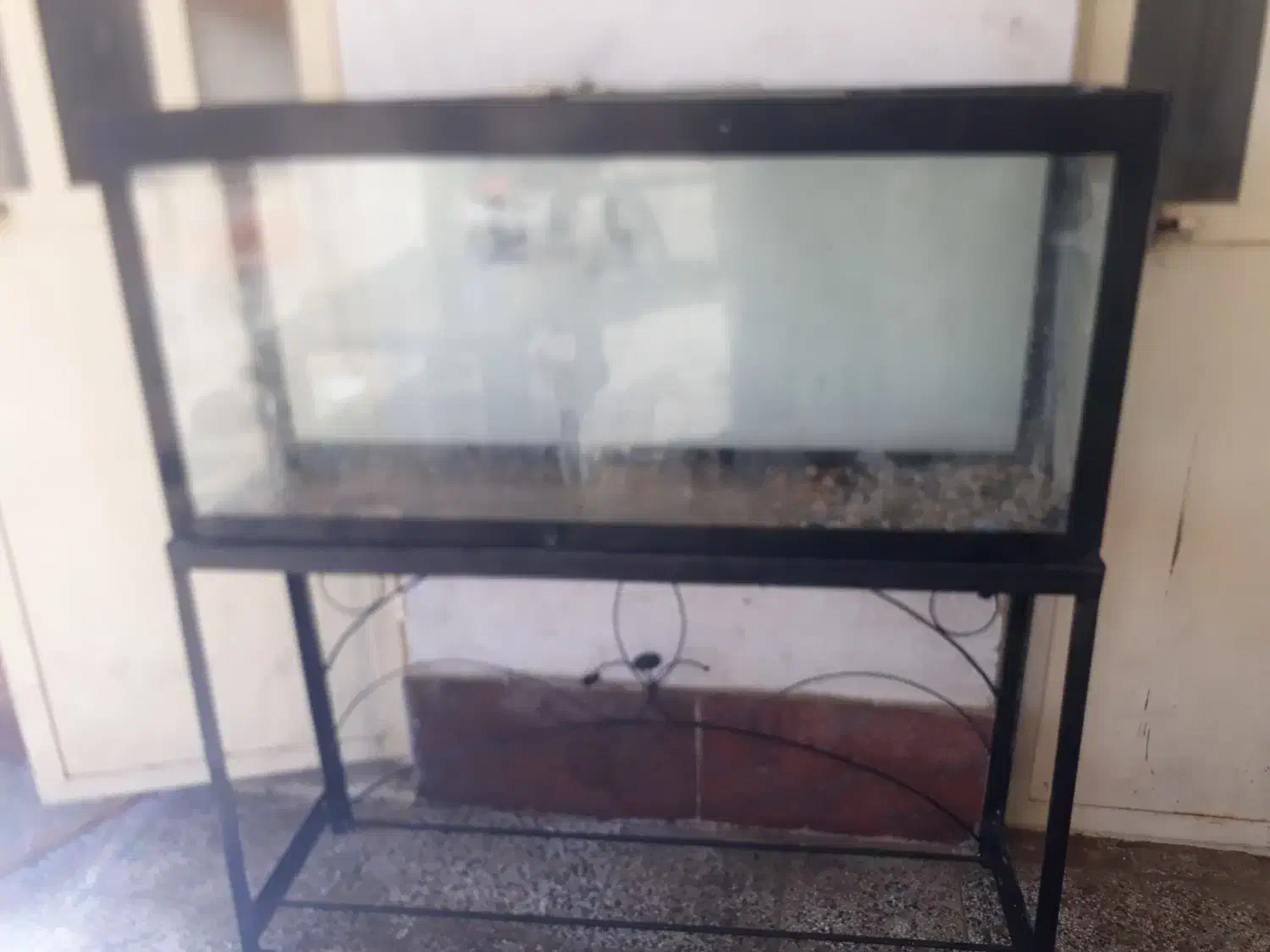 آکواریوم بزرگ شیک وسالم به پایه مخصوص خودش|ماهی|دامغان, |دیوار