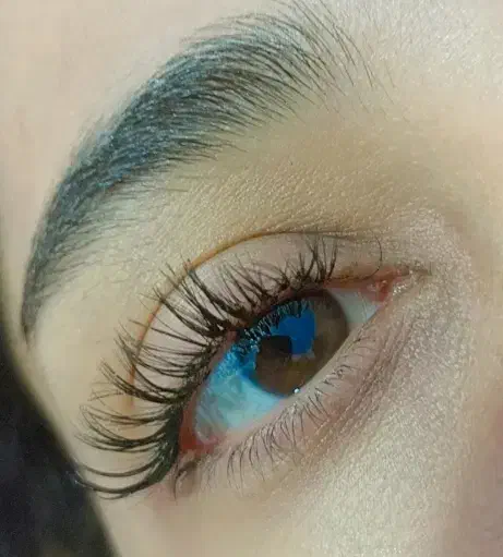 آموزش و خدمات کاشت مژه اکستنشن مژه و لیفت ابرو مژه|خدمات آرایشگری و زیبایی|اردبیل, |دیوار