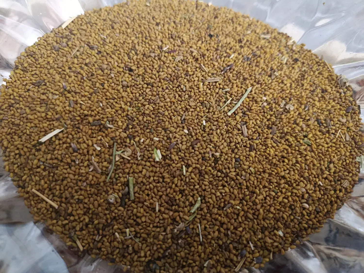 بذر|حراج|دیواندره, |دیوار