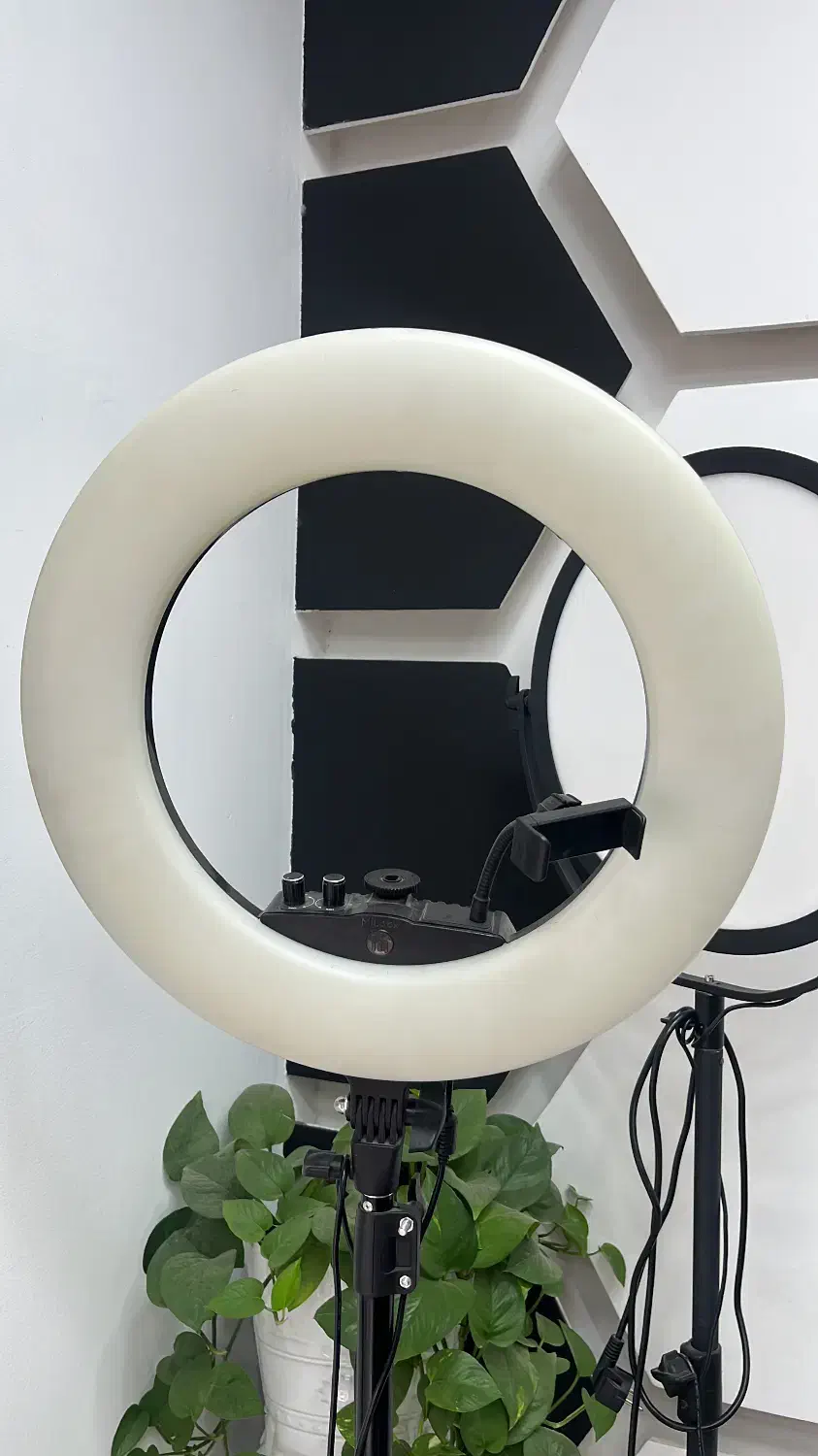 رینگ لایت سافت لایت|دوربین عکاسی و فیلم‌برداری|کرمان, |دیوار