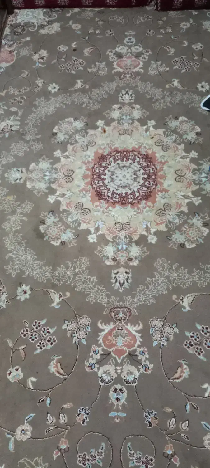 فرش ۶متره|فرش|سمنان, |دیوار