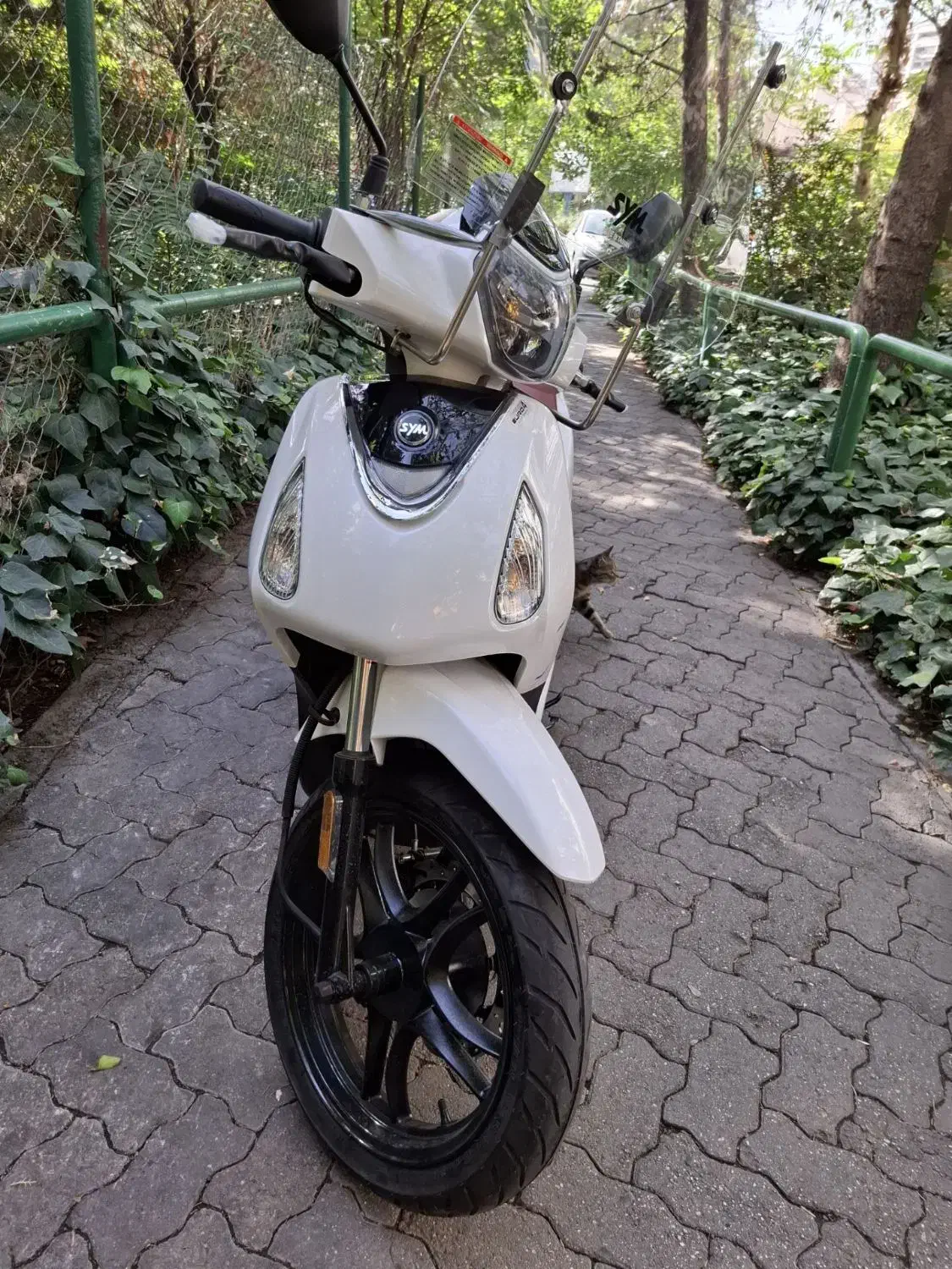 موتور گلکسی sf 180 درحد صفر sym|موتورسیکلت|تهران, گرگان|دیوار