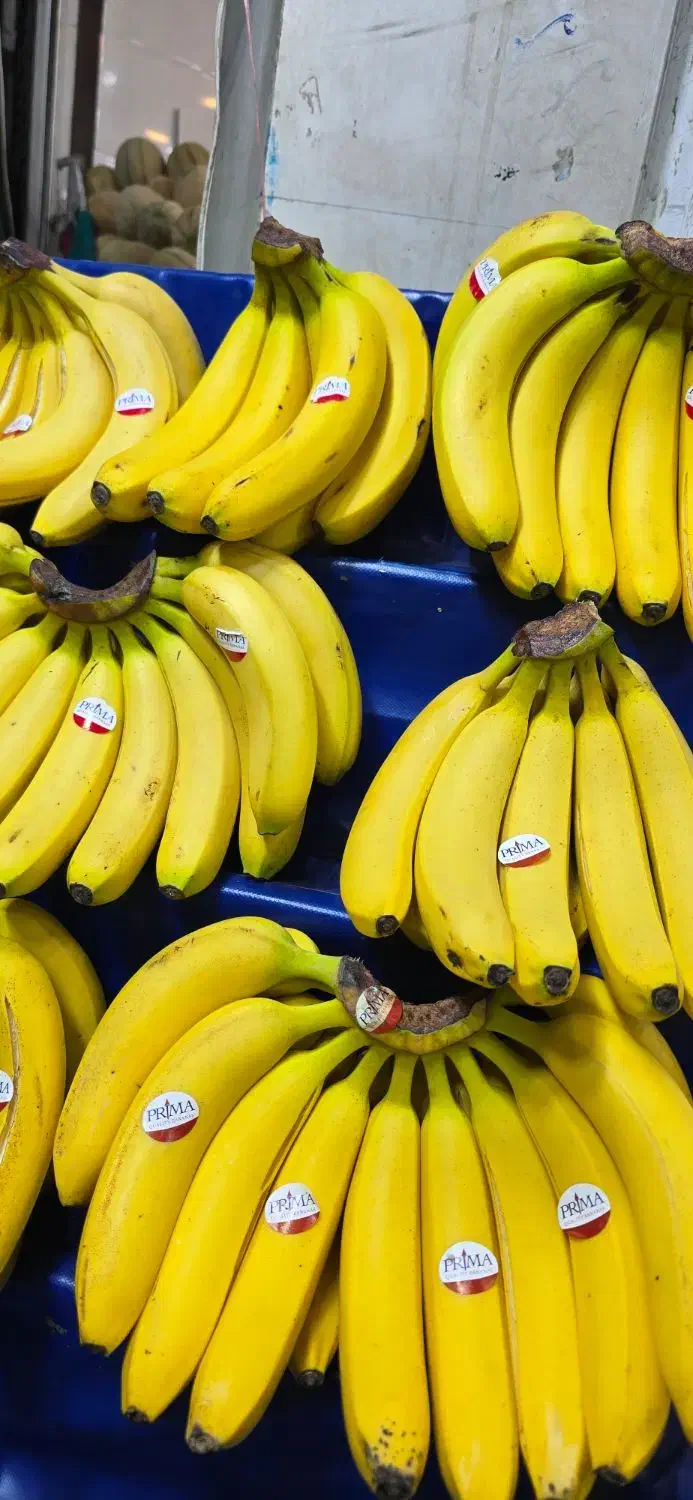 کارگر میوه فروشی|استخدام خدمات فروشگاه و رستوران|قم, شهرک امام حسین|دیوار