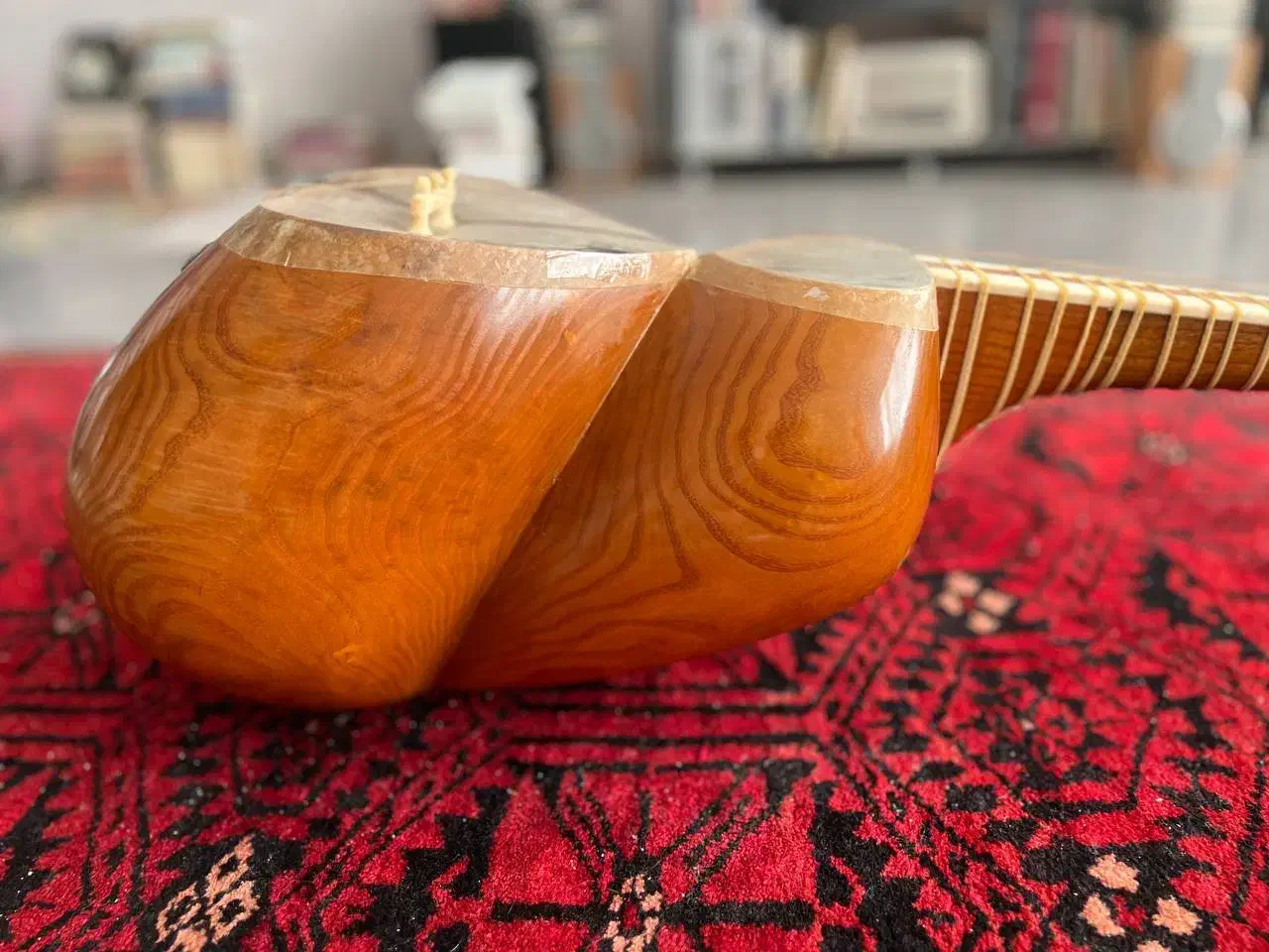 تار|سازهای سنتی|سبزوار, پیام|دیوار