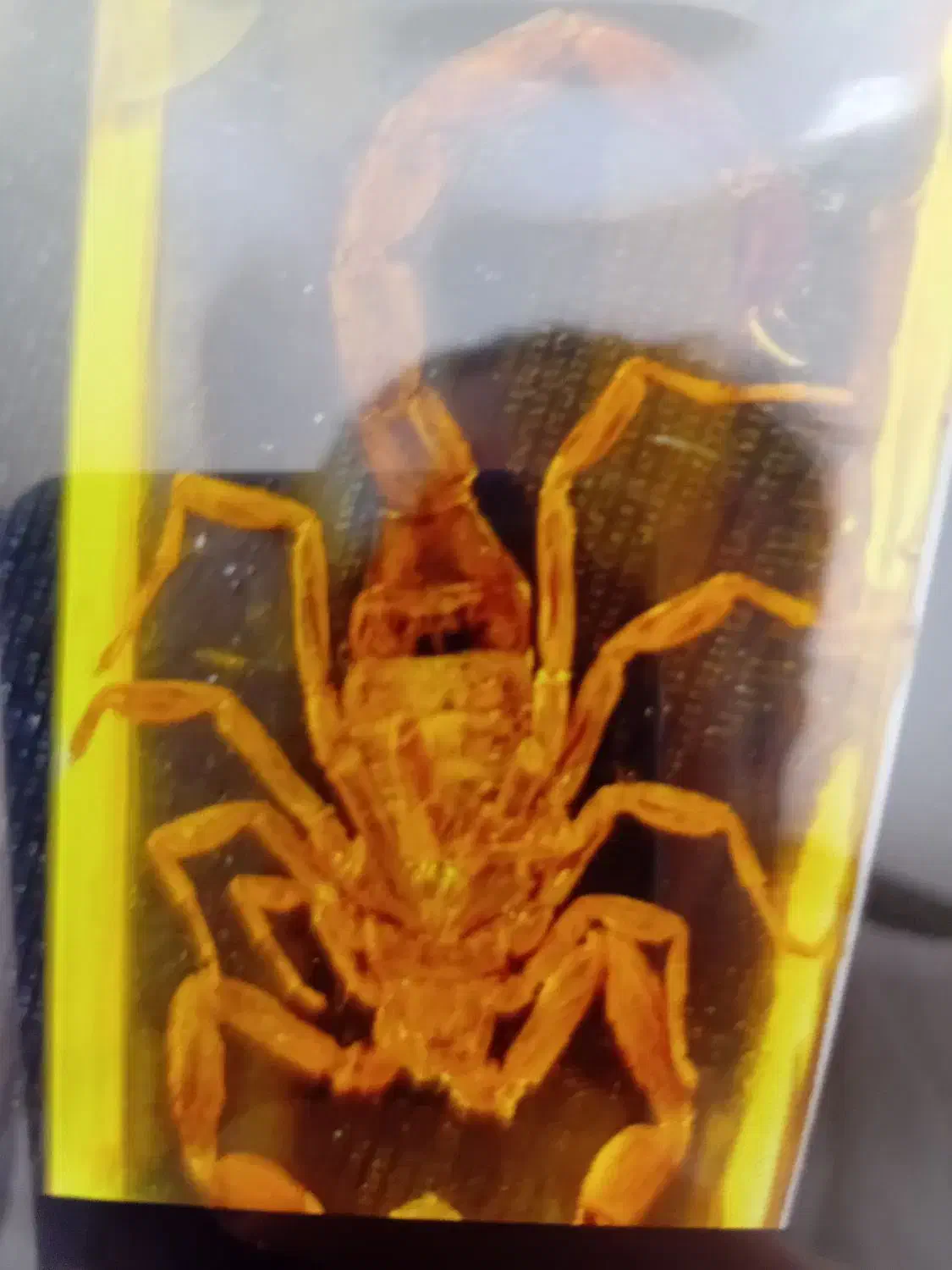 رزین اصلی|بدلیجات|کرمانشاه, |دیوار