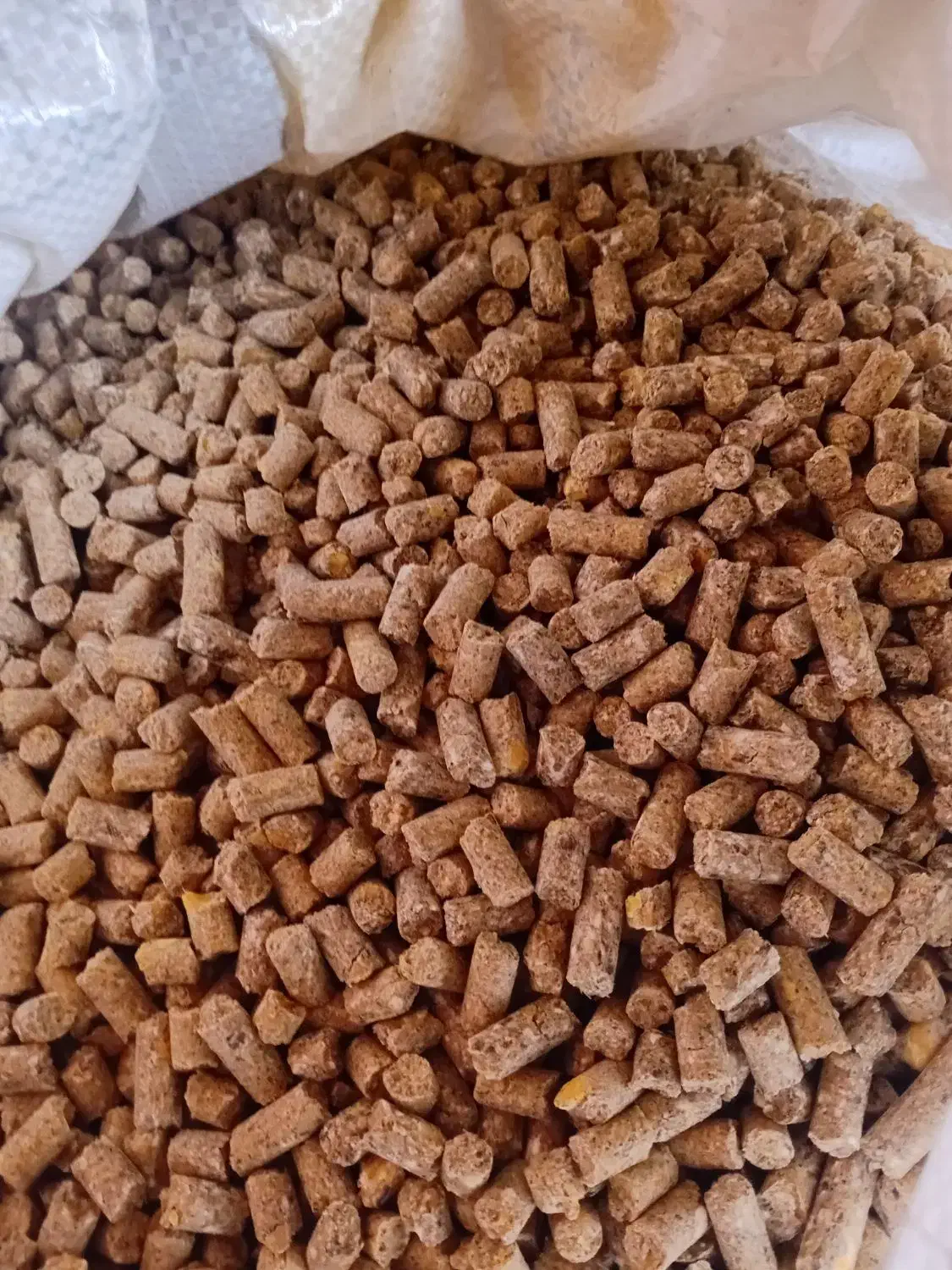 خریدار حواله خوراک|فعالیت داوطلبانه|تربت جام, میان جام|دیوار