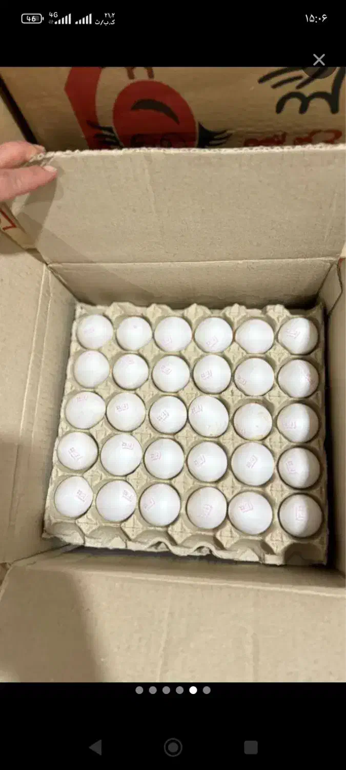 تخم مرغ|خوردنی و آشامیدنی|بومهن, |دیوار