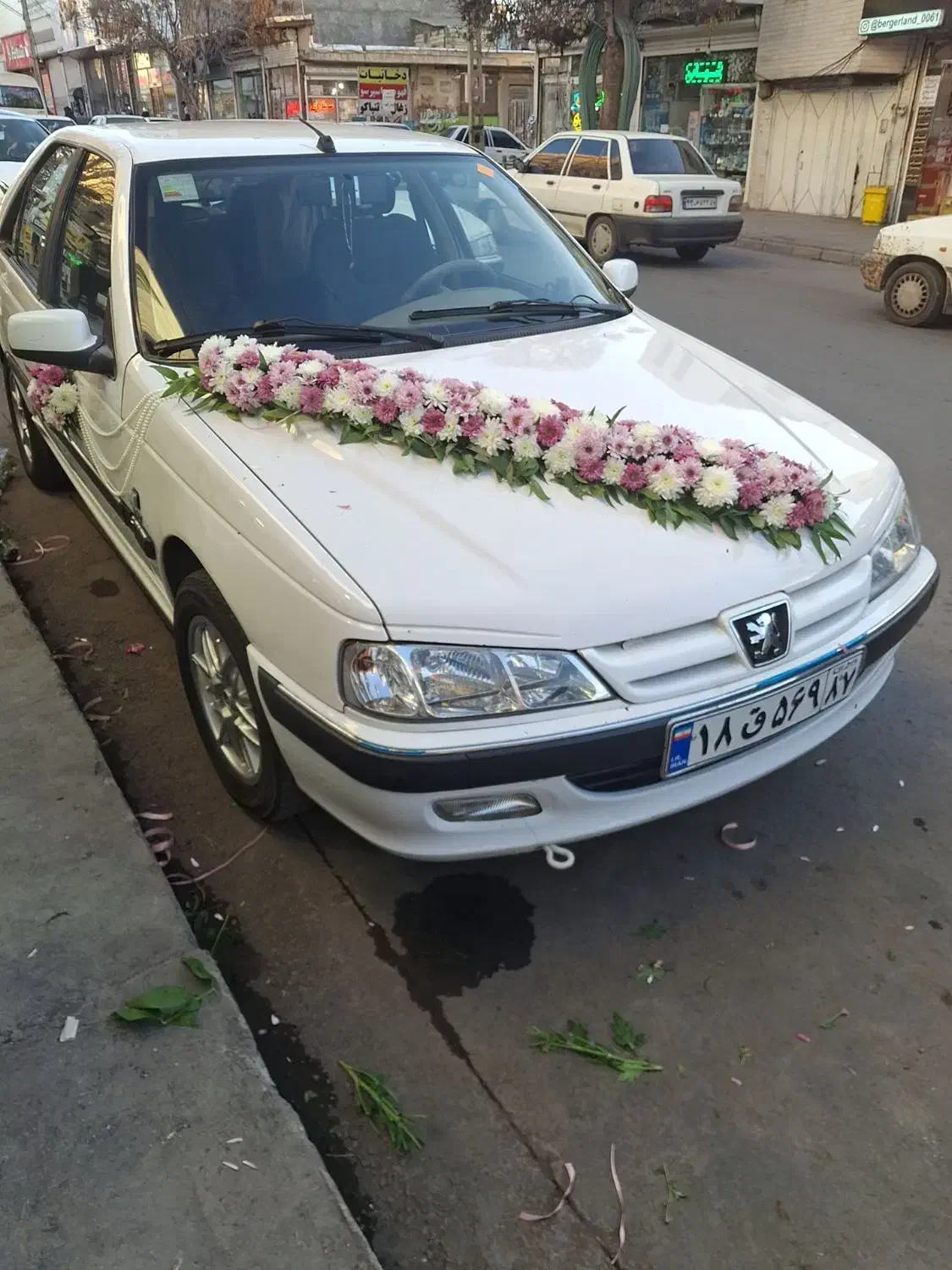 گلسرا|گل مصنوعی|زنجان, |دیوار