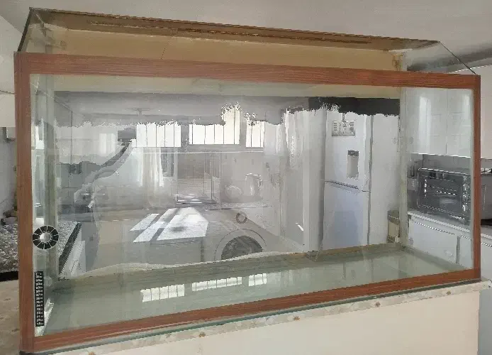 آکواریوم|ماهی|سقز, |دیوار