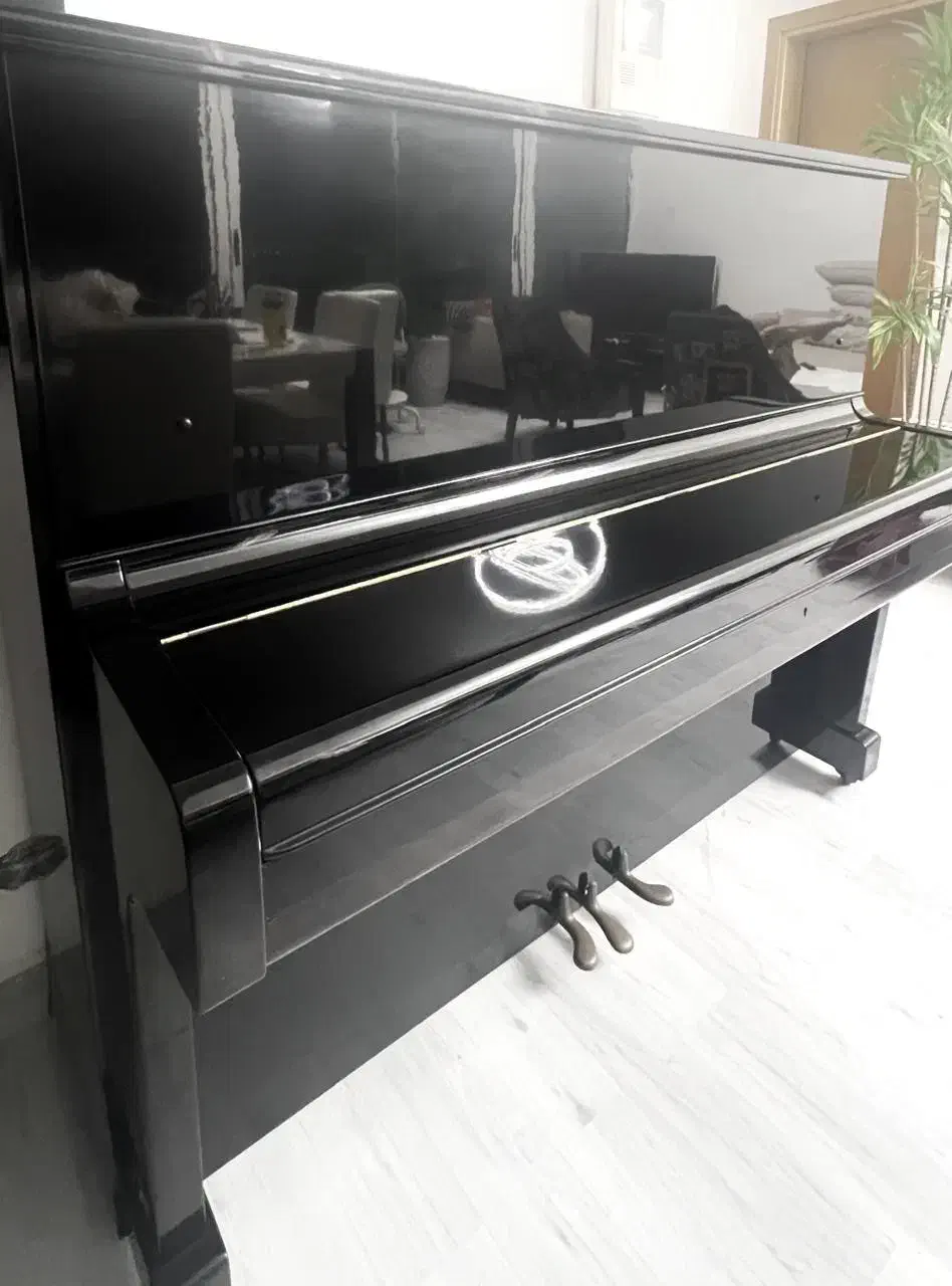 پیانو|پیانو، کیبورد، آکاردئون|شیراز, حومه شیراز|دیوار