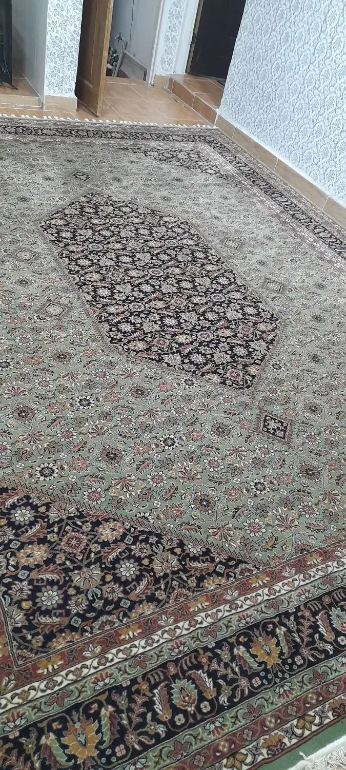 فرش ۱۲ متری سالم و تازه|فرش|رشت, تازه آباد|دیوار