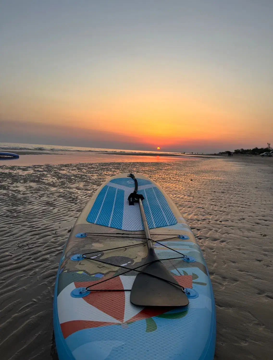 پدل بورد|تور و چارتر|بوشهر, |دیوار