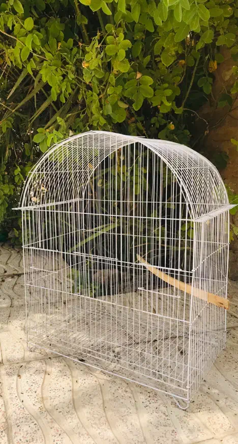 قفس پرنده|لوازم جانبی حیوانات|ایوان, |دیوار