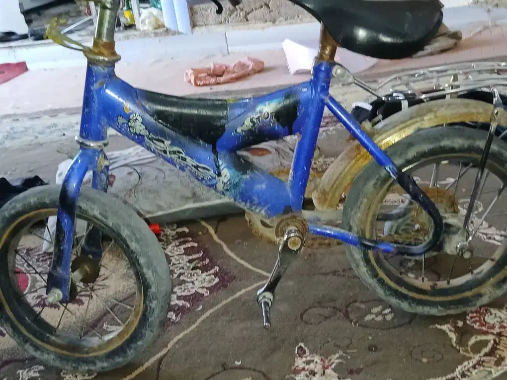 دوچرخه ۱۲|دوچرخه، اسکیت، اسکوتر|باوی, |دیوار