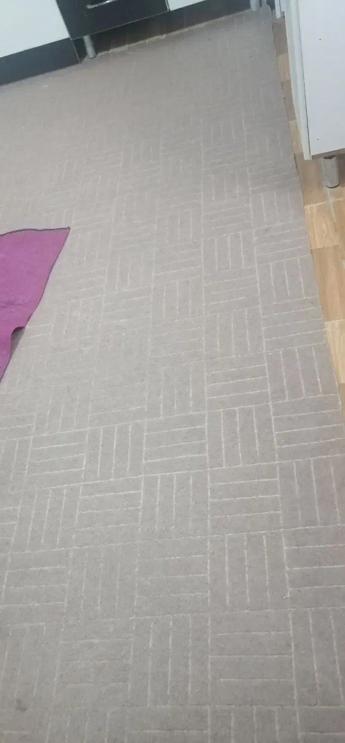 موکت،|موکت|چابهار, |دیوار