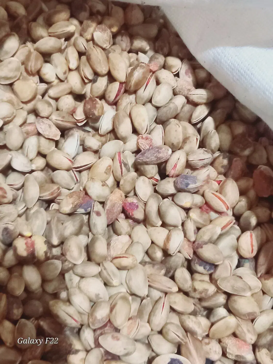 پسته کوهی خندون پسته جنگلی خندون پسته وحشی خندون|خوردنی و آشامیدنی|رضویه, |دیوار