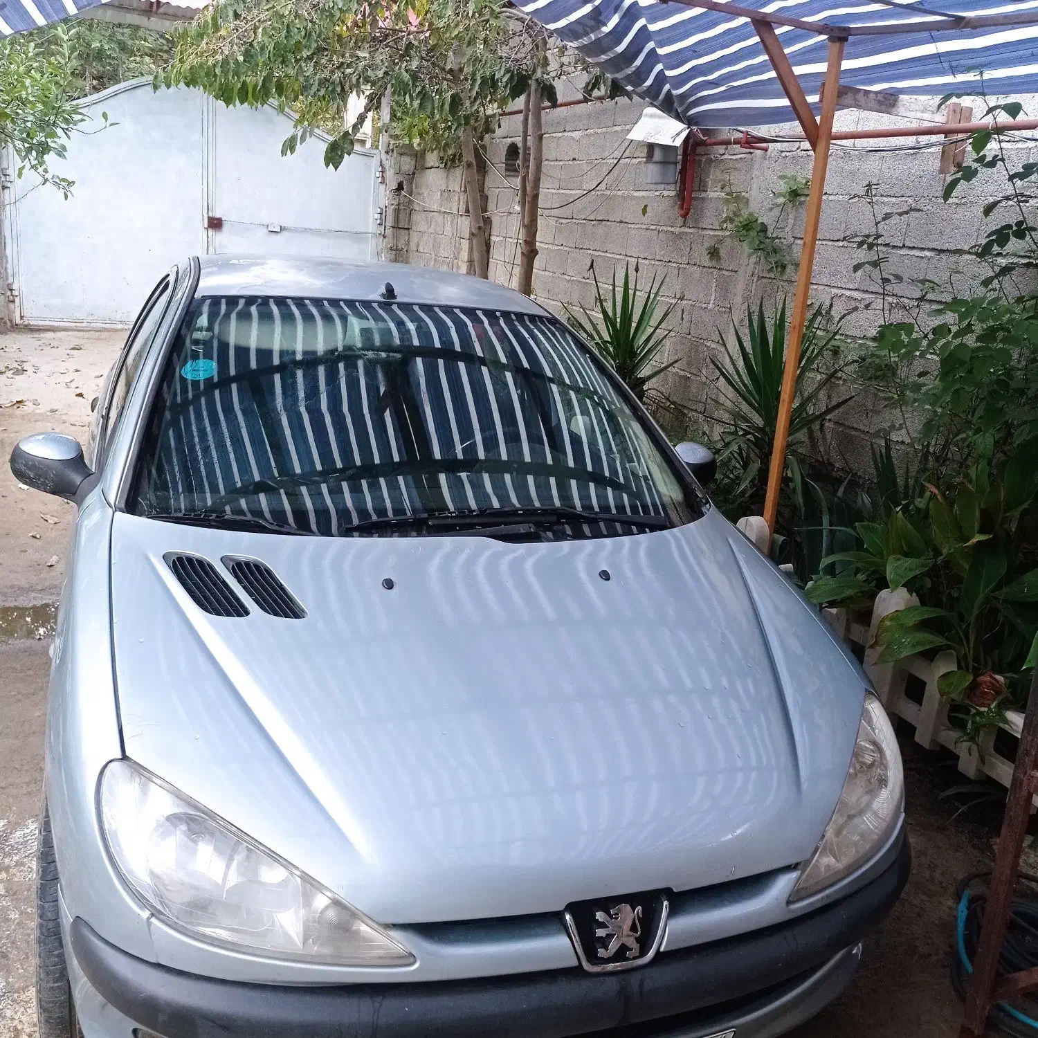 ۲۰۶ مدل ۸۲|خودرو سواری و وانت|تالش, هشتپر|دیوار