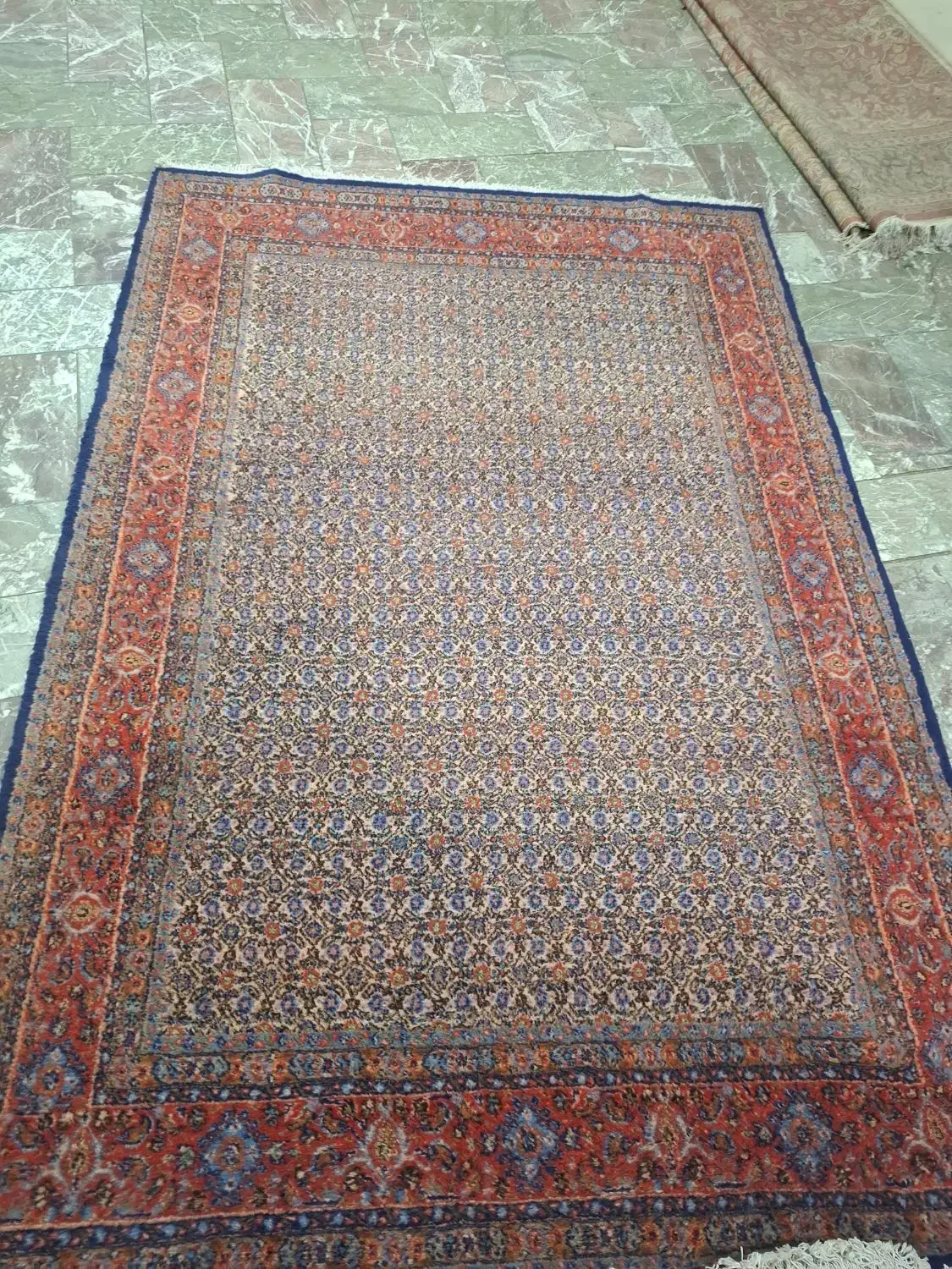 فرش دست بافت تجاری بیرجند|فرش|مشهد, امیر|دیوار