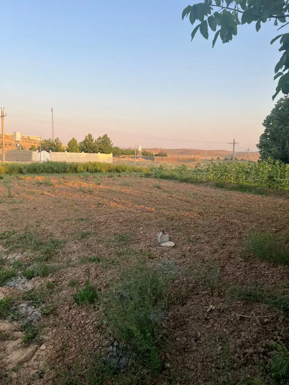 معاوضه یا فروش زمین ویلایی صدرا|فروش خانه و ویلا|شیراز, علوم پزشکی|دیوار