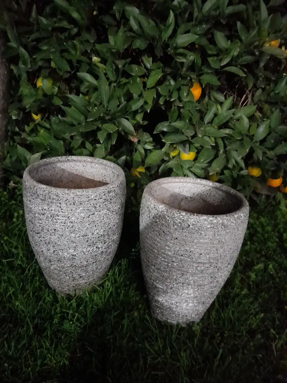 گلدان سفالی|گل و گیاه طبیعی|پرهسر, |دیوار