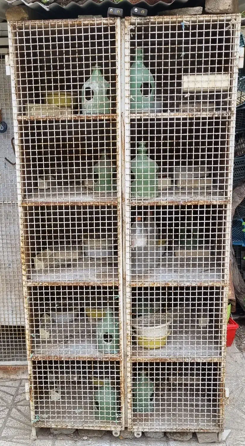 جفت کن ابعاد استاندارد ، گاوصندوق|لوازم جانبی حیوانات|اراک, |دیوار