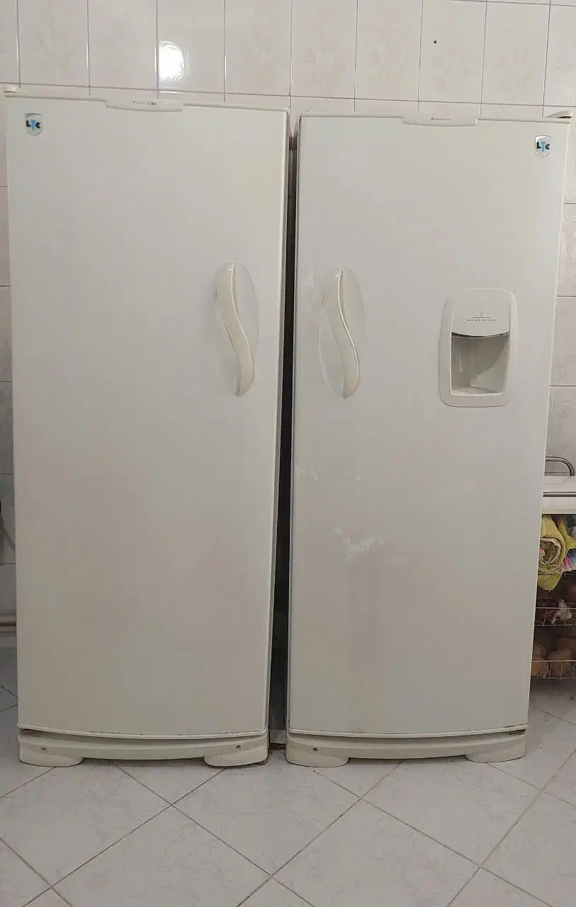 یخچال فریزر|یخچال و فریزر|مشهد, تربیت (صدف)|دیوار