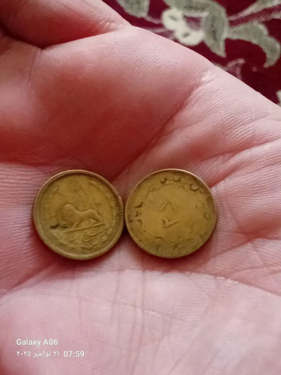 سکهیزمانکوروش|کلکسیون اشیاء عتیقه|زبرخان, |دیوار