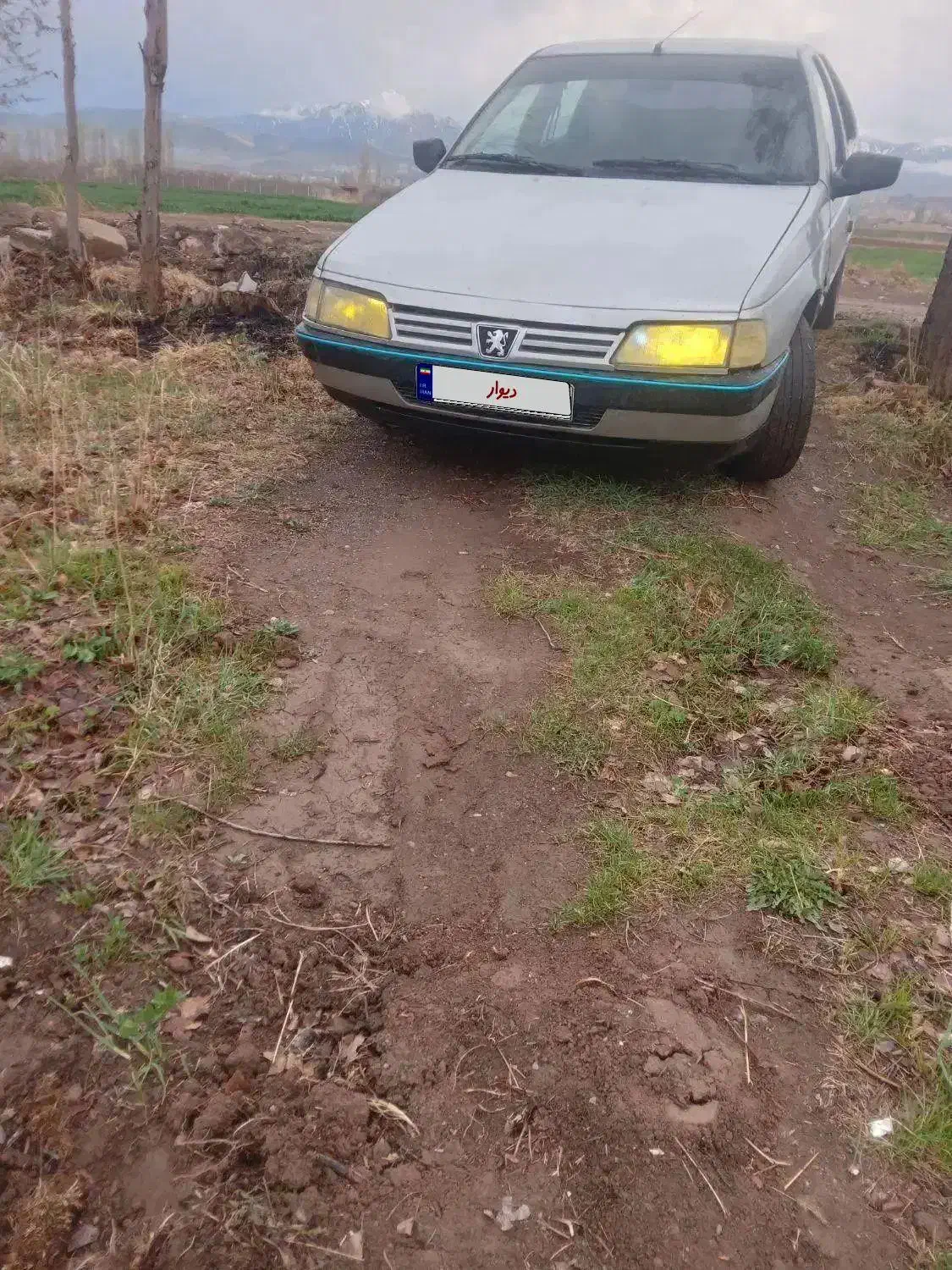 پژو|خودرو سواری و وانت|یامچی, |دیوار