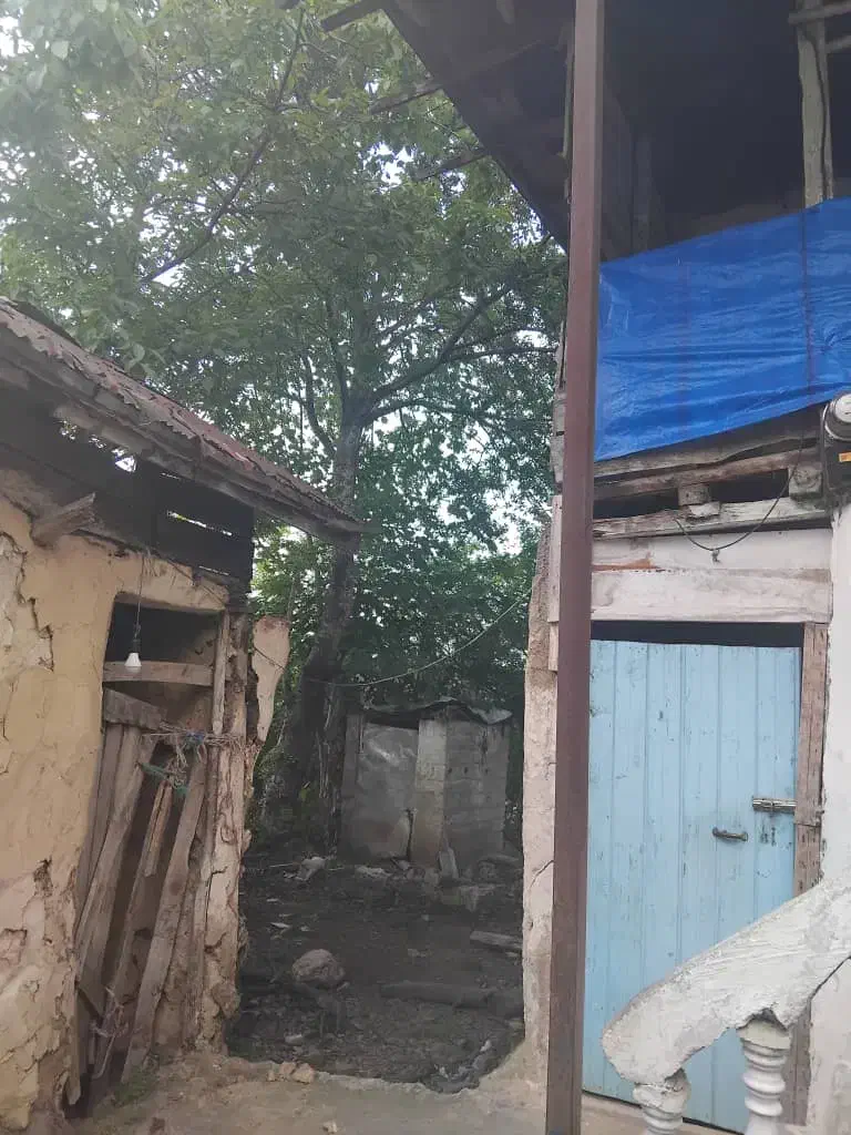 فروش ویلا جنگلی قدیمی با چشم انداز دایمی|فروش زمین و ملک کلنگی|واجارگاه, |دیوار