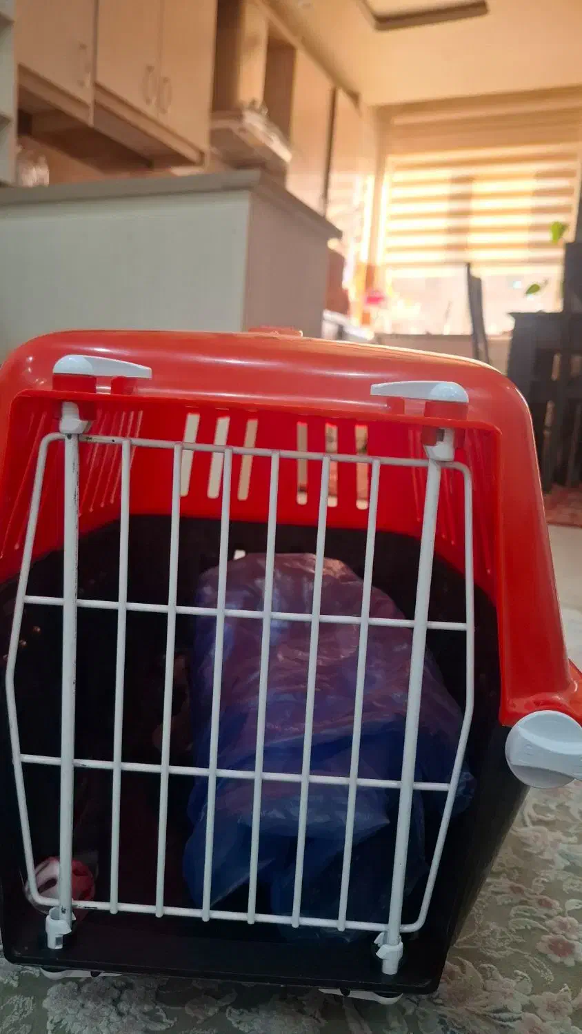 باکس گربه|لوازم جانبی حیوانات|تهران, جنتآباد مرکزی|دیوار