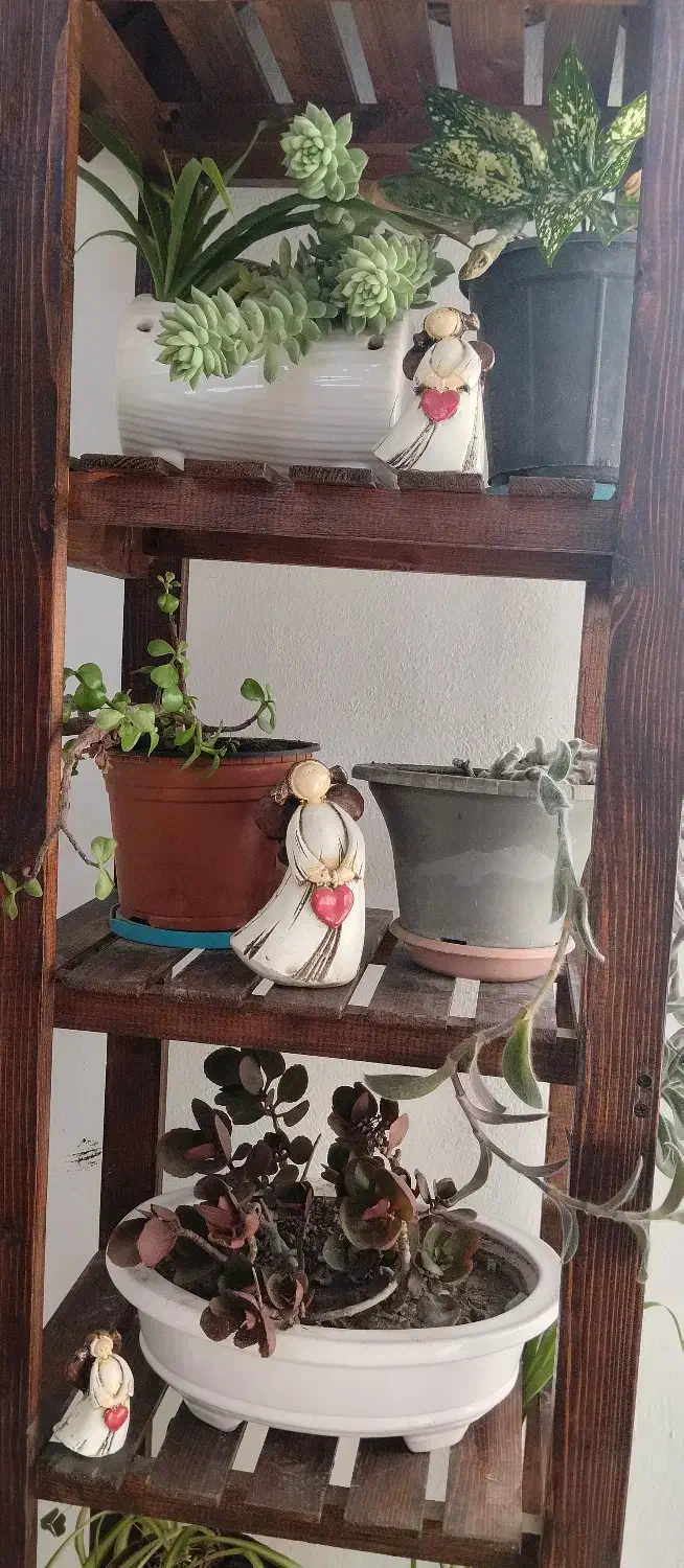 لوازم خانگی|صنایع دستی و سایر لوازم تزئینی|ساری, |دیوار