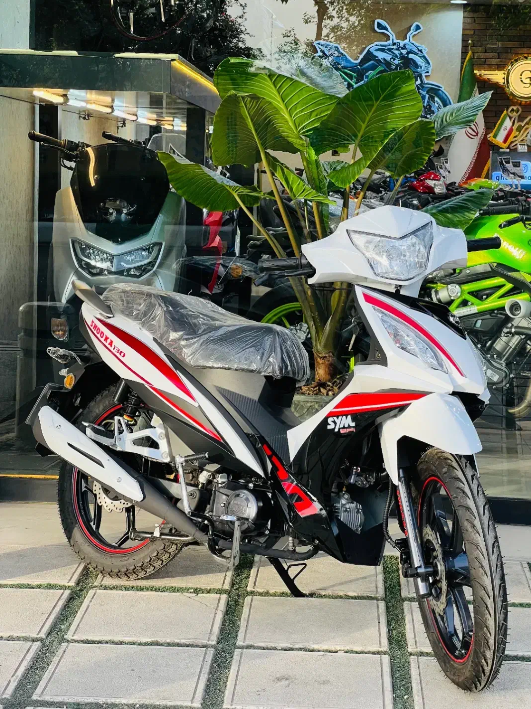 شوکا 130 مدل 404|موتورسیکلت|مشهد, طلاب|دیوار