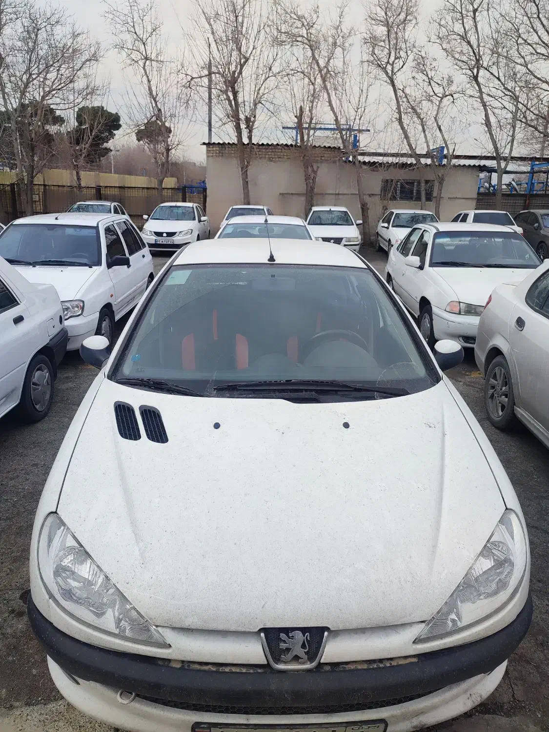 ۲۰۶ sd مدل ۹۹|خودرو سواری و وانت|تهران, جیحون|دیوار