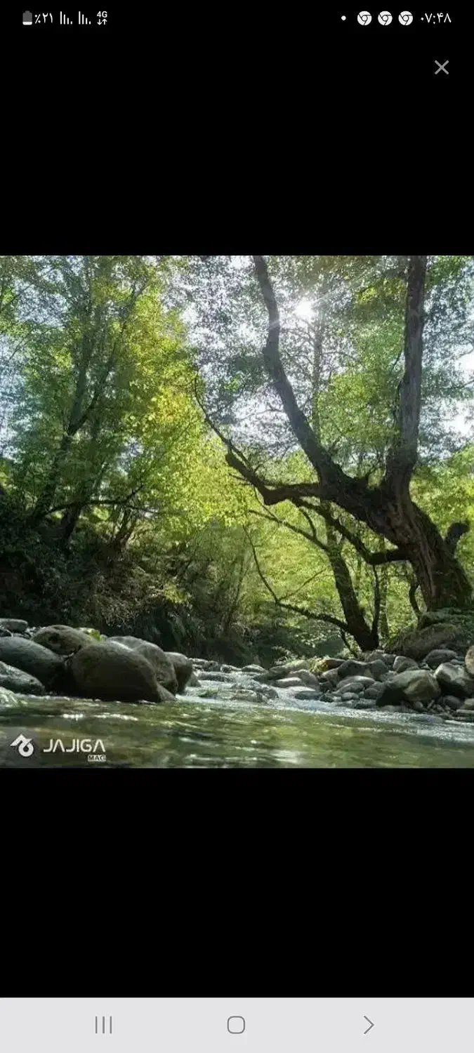 راهنمایی|فعالیت داوطلبانه تحقیقاتی|کرمان, |دیوار