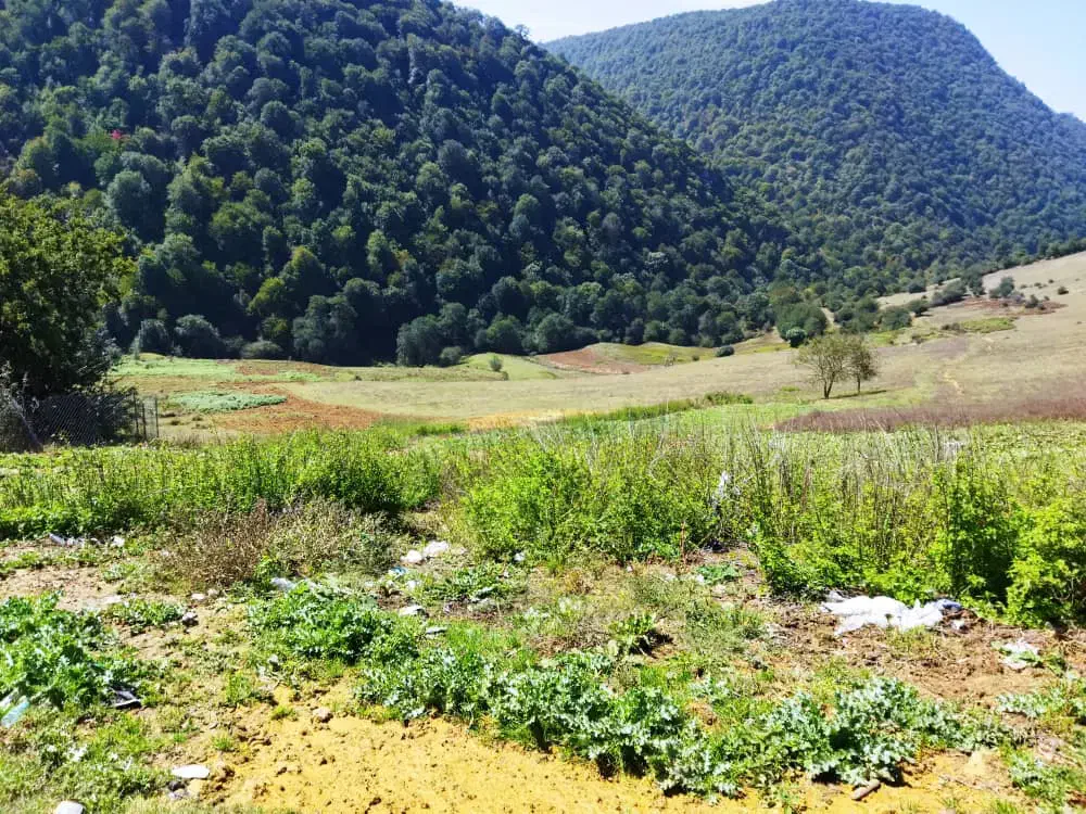 ۲هکتار زمین هکتاری شخصی معاوضه|فروش زمین و ملک کلنگی|ساری, |دیوار