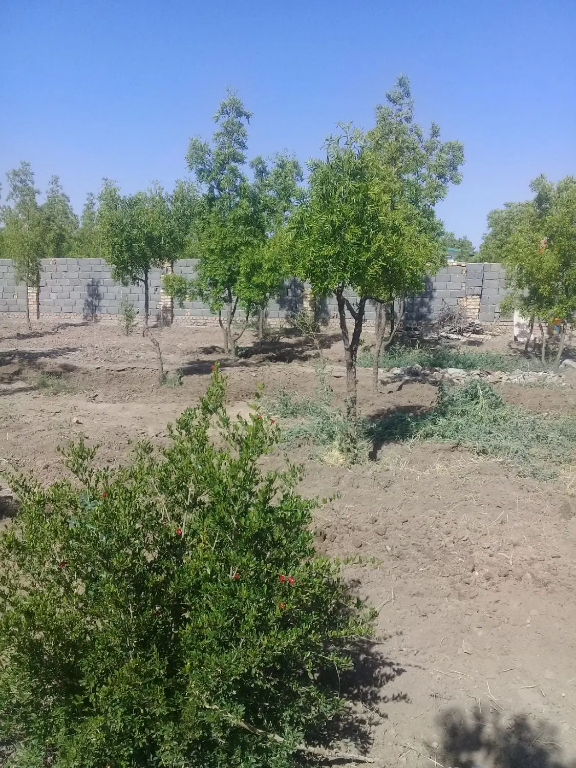 تصویر 2