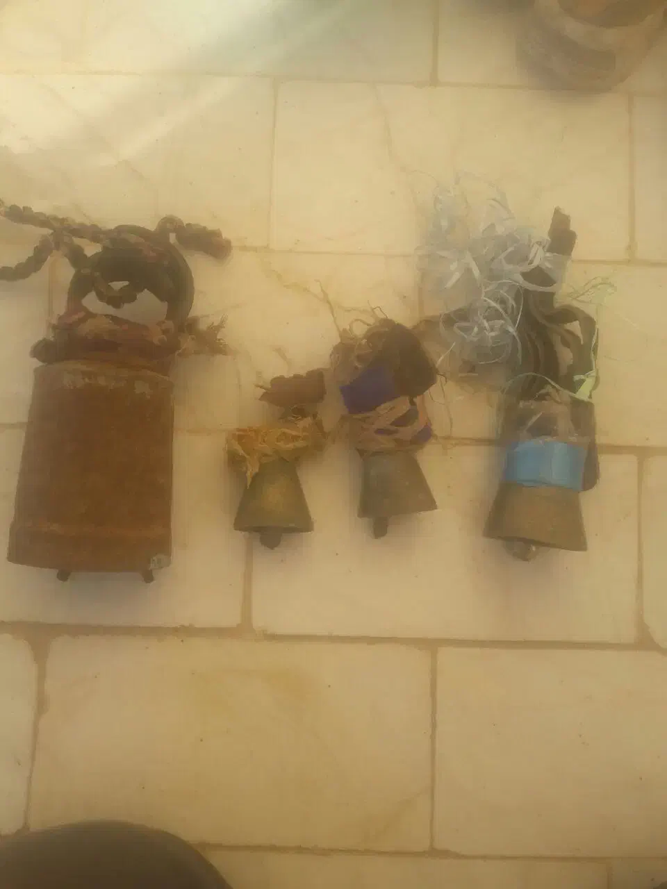 زنگوله|لوازم جانبی حیوانات|سیمین شهر, |دیوار