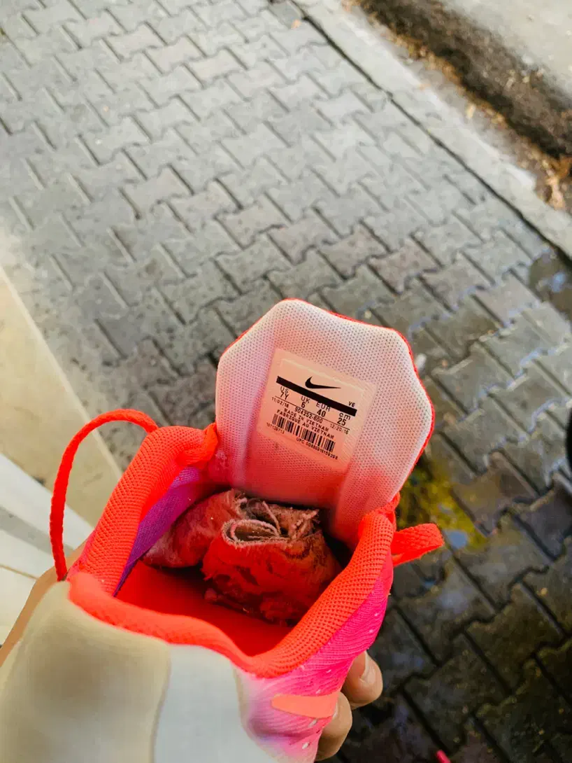 نایک اورجینال|کیف، کفش، کمربند|میاندوآب, |دیوار