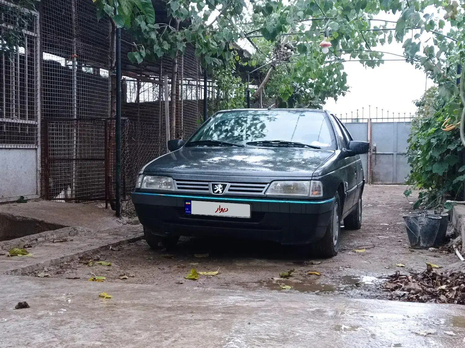 فروش ماشین|خودرو سواری و وانت|بهشهر, |دیوار