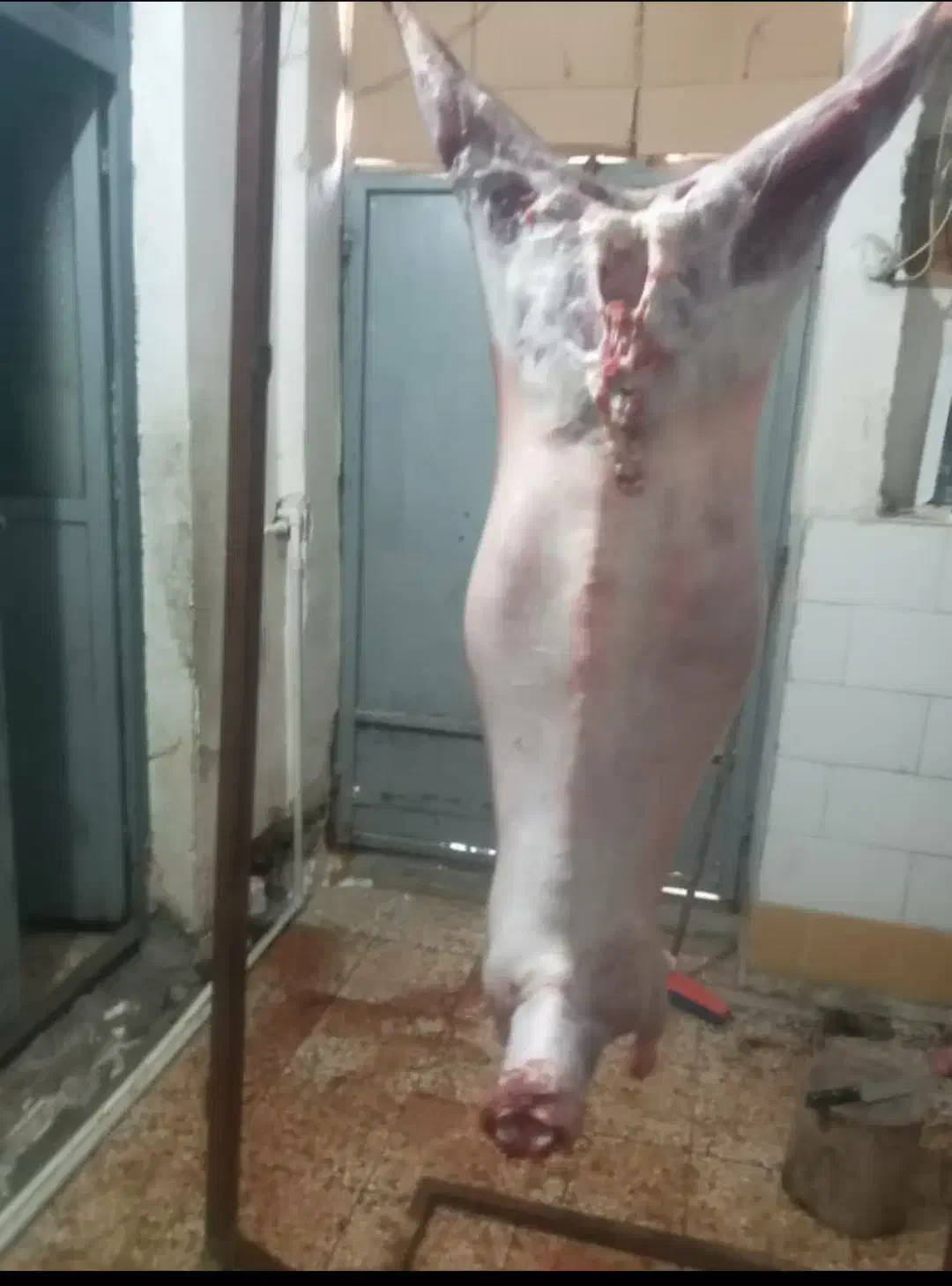 قصابی کهره وبره هر روز|خوردنی و آشامیدنی|بهبهان, |دیوار