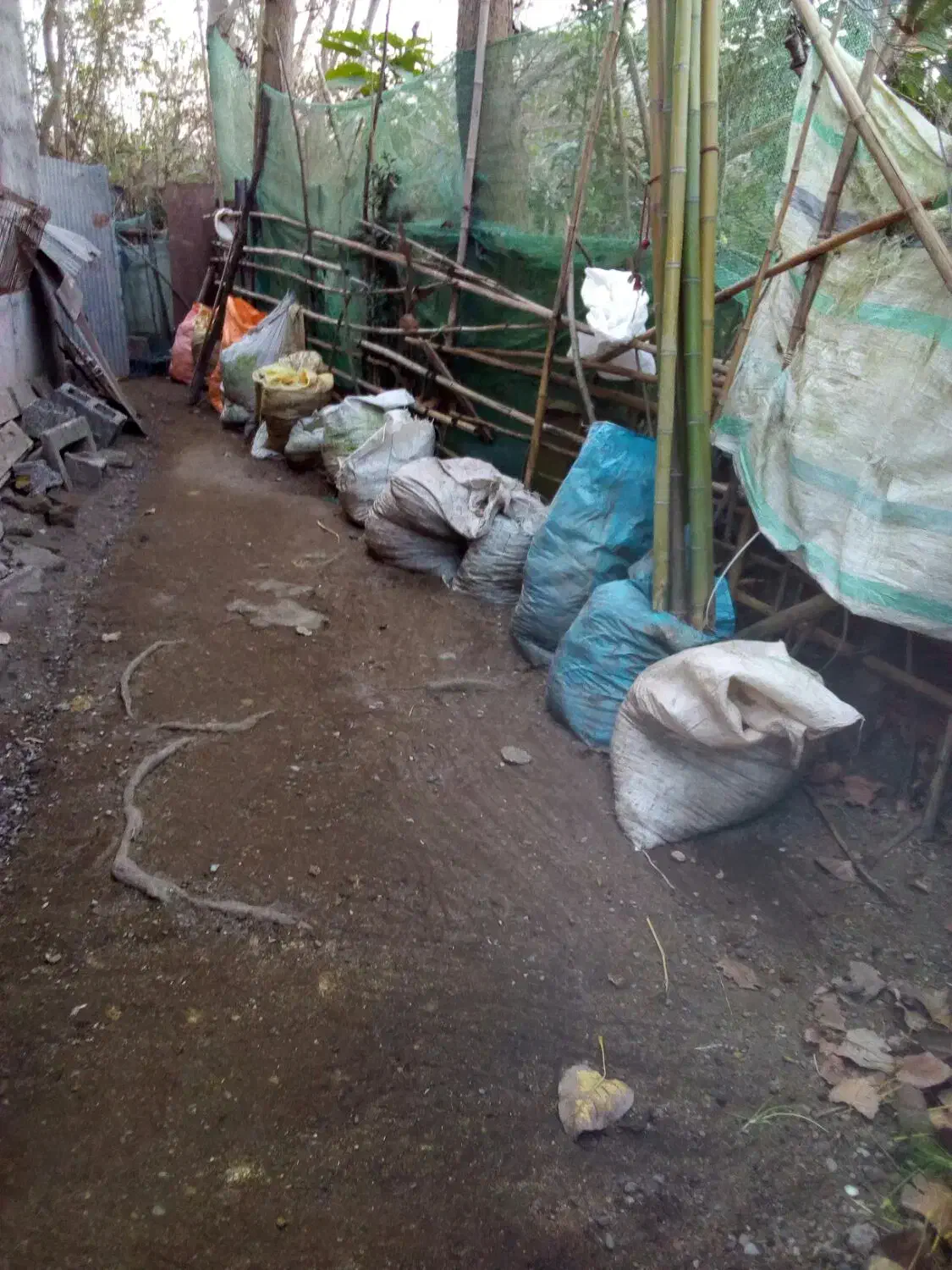 سبوس برنج فل کود مرغی|لوازم جانبی حیوانات|آستانه اشرفیه, |دیوار